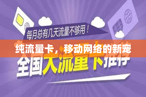 纯流量卡，移动网络的新宠