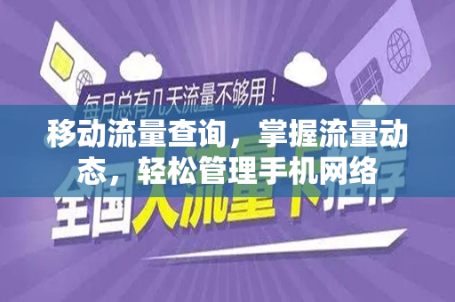 移动流量查询，掌握流量动态，轻松管理手机网络