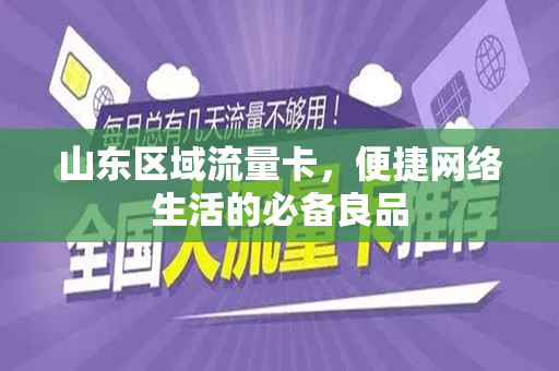 山东区域流量卡，便捷网络生活的必备良品