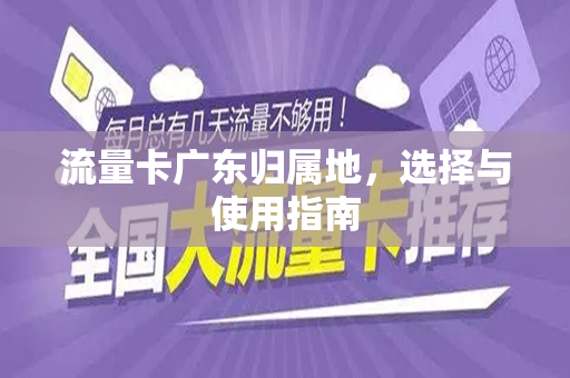 流量卡广东归属地，选择与使用指南