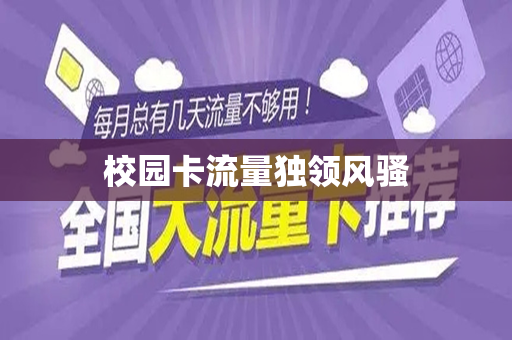 校园卡流量独领风骚