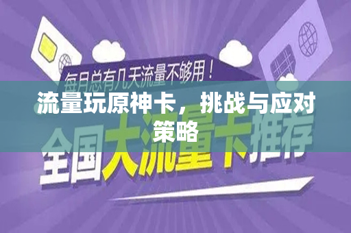 流量玩原神卡，挑战与应对策略