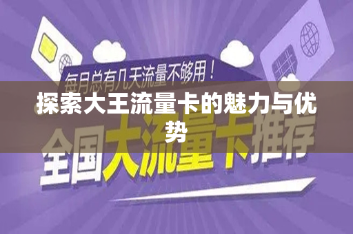 探索大王流量卡的魅力与优势