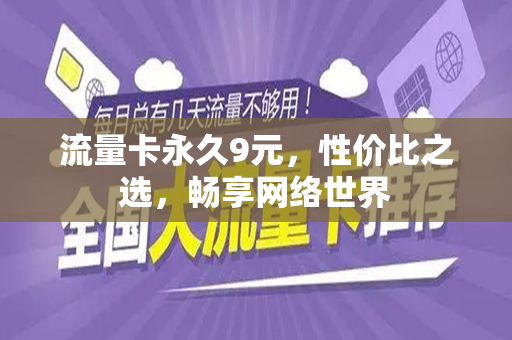 流量卡永久9元，性价比之选，畅享网络世界