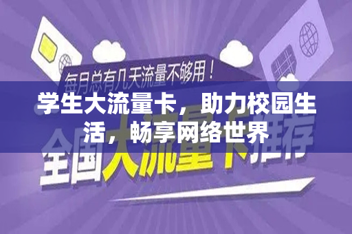 学生大流量卡，助力校园生活，畅享网络世界