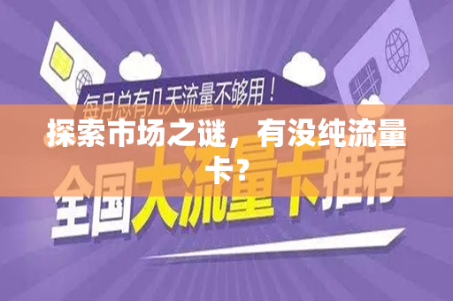 探索市场之谜，有没纯流量卡？
