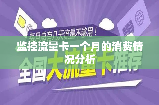 监控流量卡一个月的消费情况分析