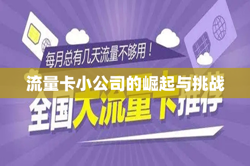 流量卡小公司的崛起与挑战