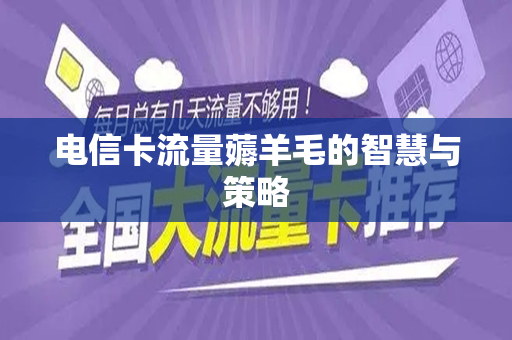 电信卡流量薅羊毛的智慧与策略