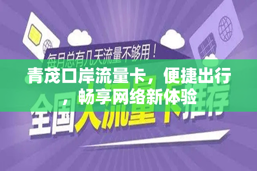 青茂口岸流量卡，便捷出行，畅享网络新体验