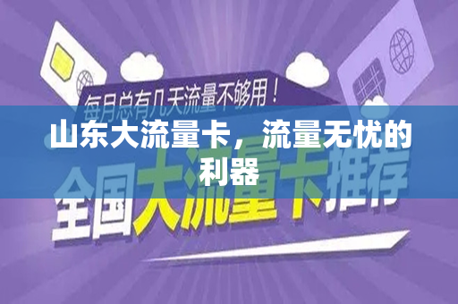 山东大流量卡，流量无忧的利器