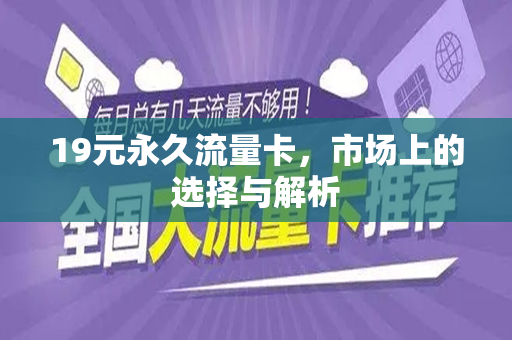 19元永久流量卡，市场上的选择与解析