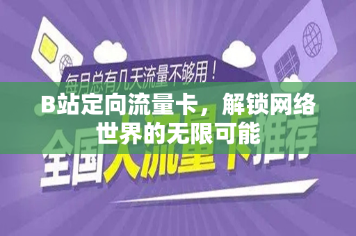 B站定向流量卡，解锁网络世界的无限可能
