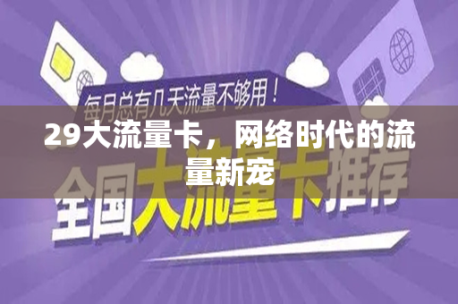 29大流量卡，网络时代的流量新宠