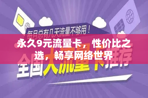 永久9元流量卡，性价比之选，畅享网络世界