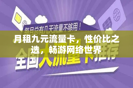 月租九元流量卡，性价比之选，畅游网络世界