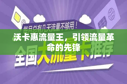 沃卡惠流量王，引领流量革命的先锋