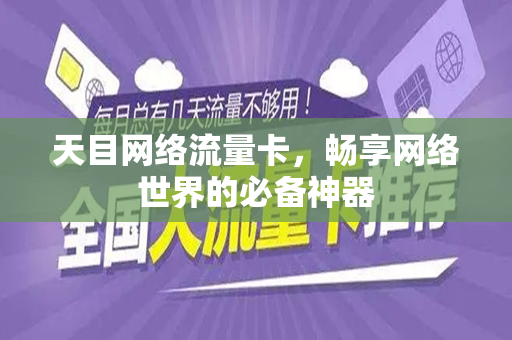 天目网络流量卡，畅享网络世界的必备神器