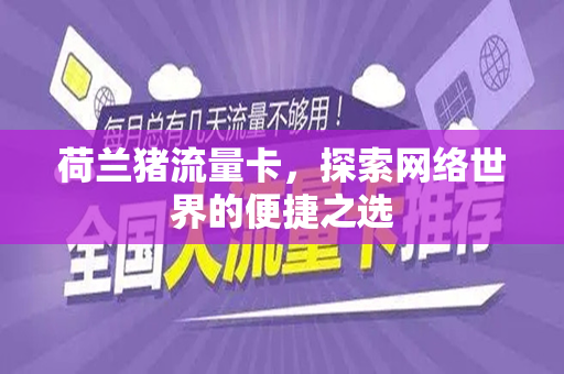 荷兰猪流量卡，探索网络世界的便捷之选