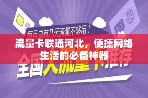 流量卡联通河北，便捷网络生活的必备神器