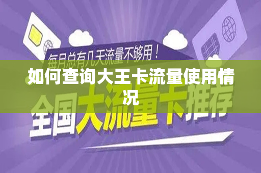 如何查询大王卡流量使用情况