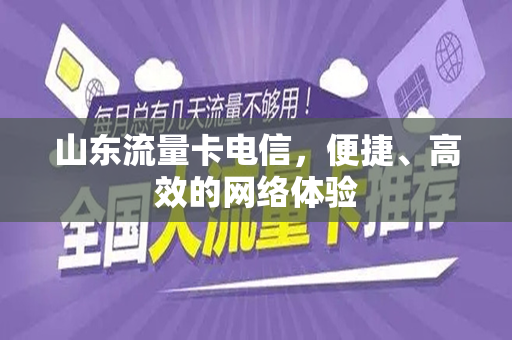 山东流量卡电信，便捷、高效的网络体验