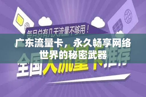 广东流量卡，永久畅享网络世界的秘密武器
