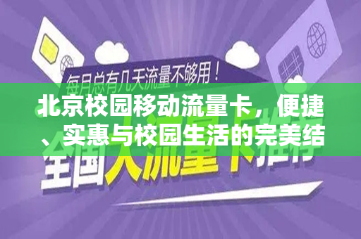 北京校园移动流量卡，便捷、实惠与校园生活的完美结合
