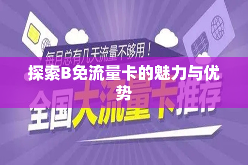 探索B免流量卡的魅力与优势