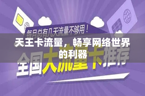 天王卡流量，畅享网络世界的利器