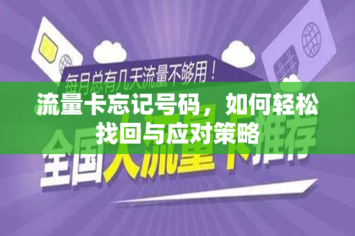 流量卡忘记号码，如何轻松找回与应对策略