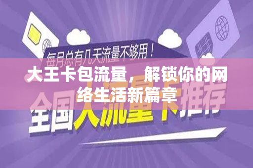 大王卡包流量，解锁你的网络生活新篇章