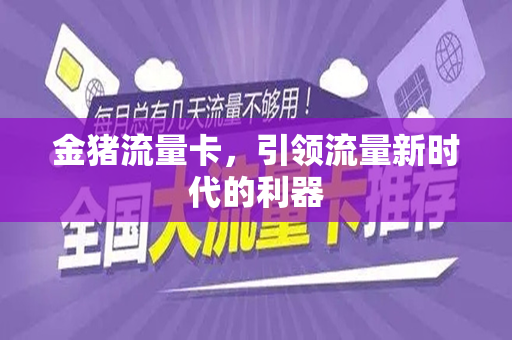 金猪流量卡，引领流量新时代的利器