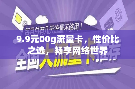 9.9元00g流量卡，性价比之选，畅享网络世界