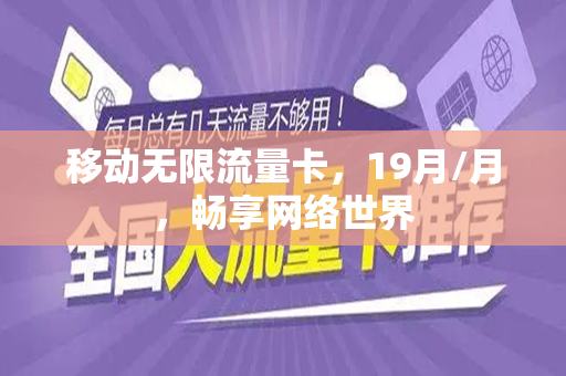 移动无限流量卡，19月/月，畅享网络世界