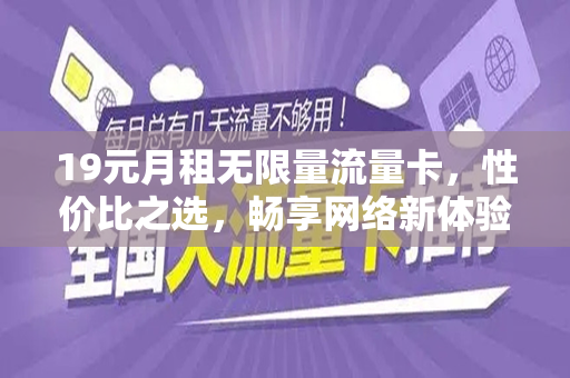 19元月租无限量流量卡，性价比之选，畅享网络新体验