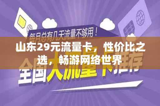 山东29元流量卡，性价比之选，畅游网络世界