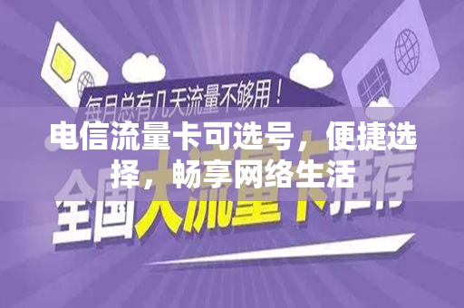 电信流量卡可选号，便捷选择，畅享网络生活