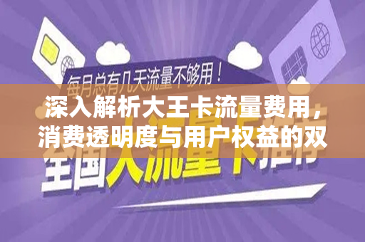 深入解析大王卡流量费用，消费透明度与用户权益的双重考量