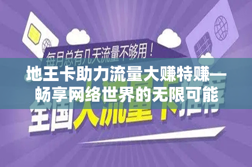 地王卡助力流量大赚特赚—畅享网络世界的无限可能