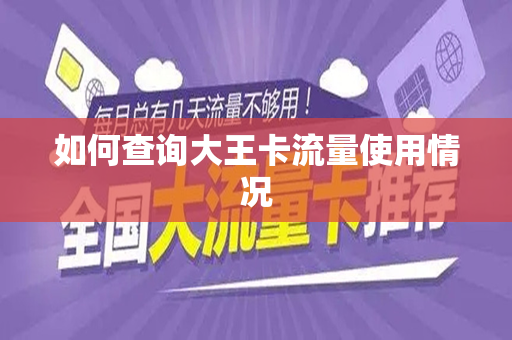 如何查询大王卡流量使用情况