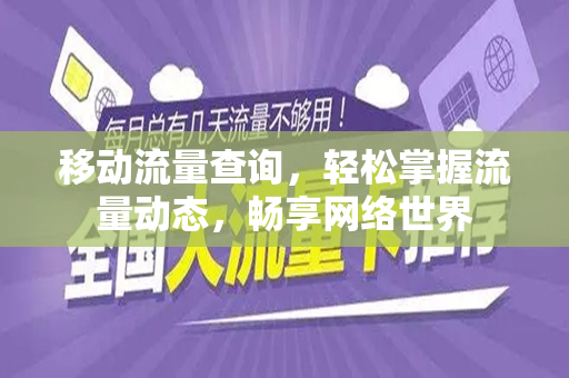 移动流量查询，轻松掌握流量动态，畅享网络世界