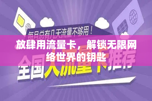 放肆用流量卡，解锁无限网络世界的钥匙