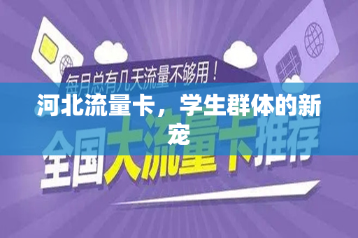 河北流量卡，学生群体的新宠