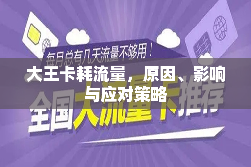 大王卡耗流量，原因、影响与应对策略