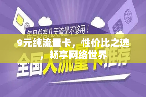 9元纯流量卡，性价比之选，畅享网络世界
