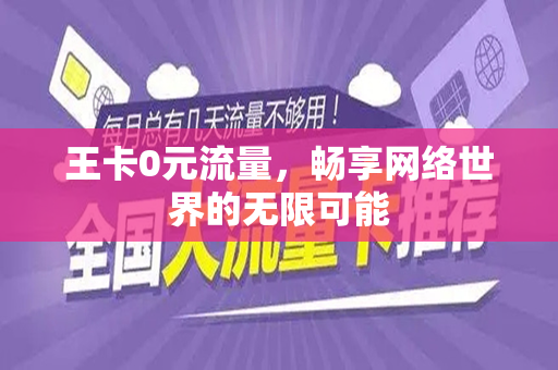 王卡0元流量，畅享网络世界的无限可能