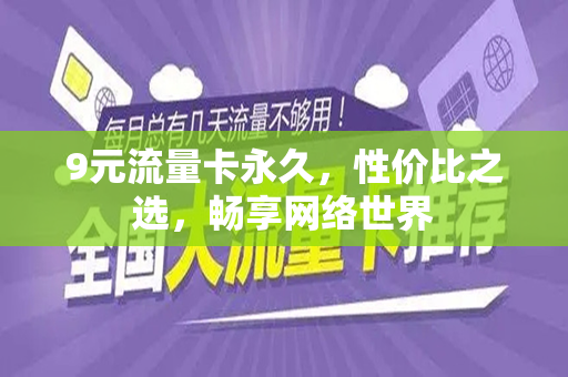 9元流量卡永久，性价比之选，畅享网络世界