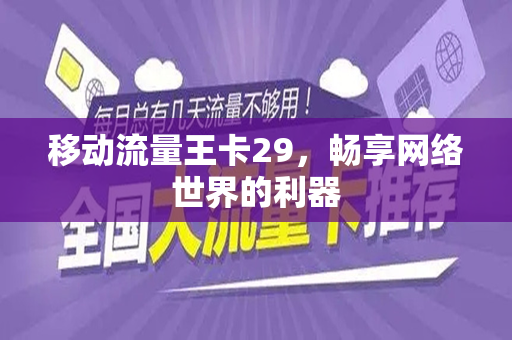 移动流量王卡29，畅享网络世界的利器