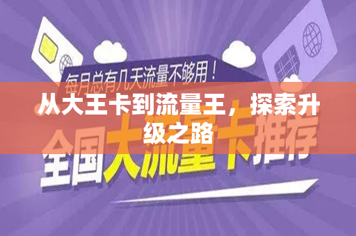 从大王卡到流量王，探索升级之路